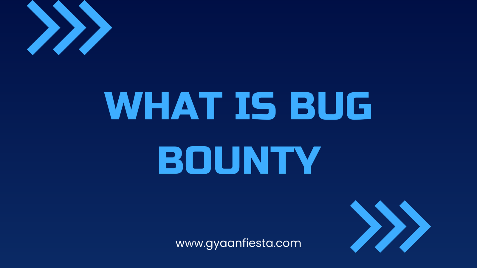 what is bug bounty