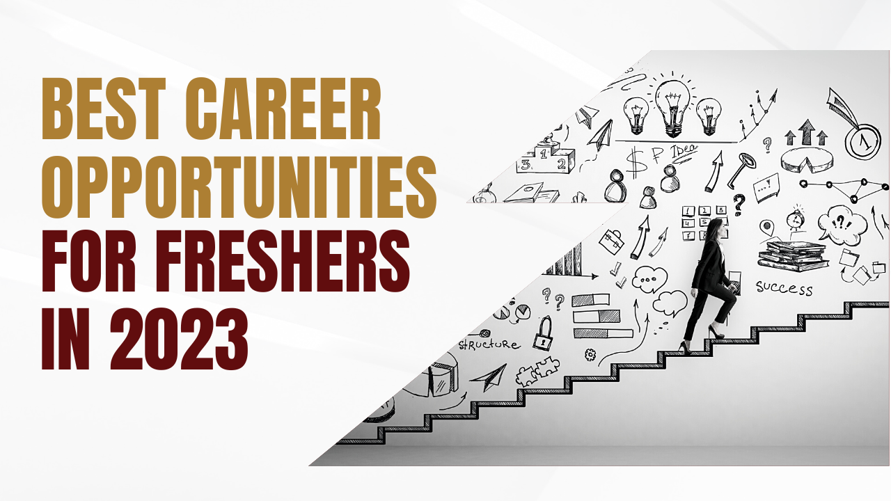 Best Career opportunities for freshers in 2023